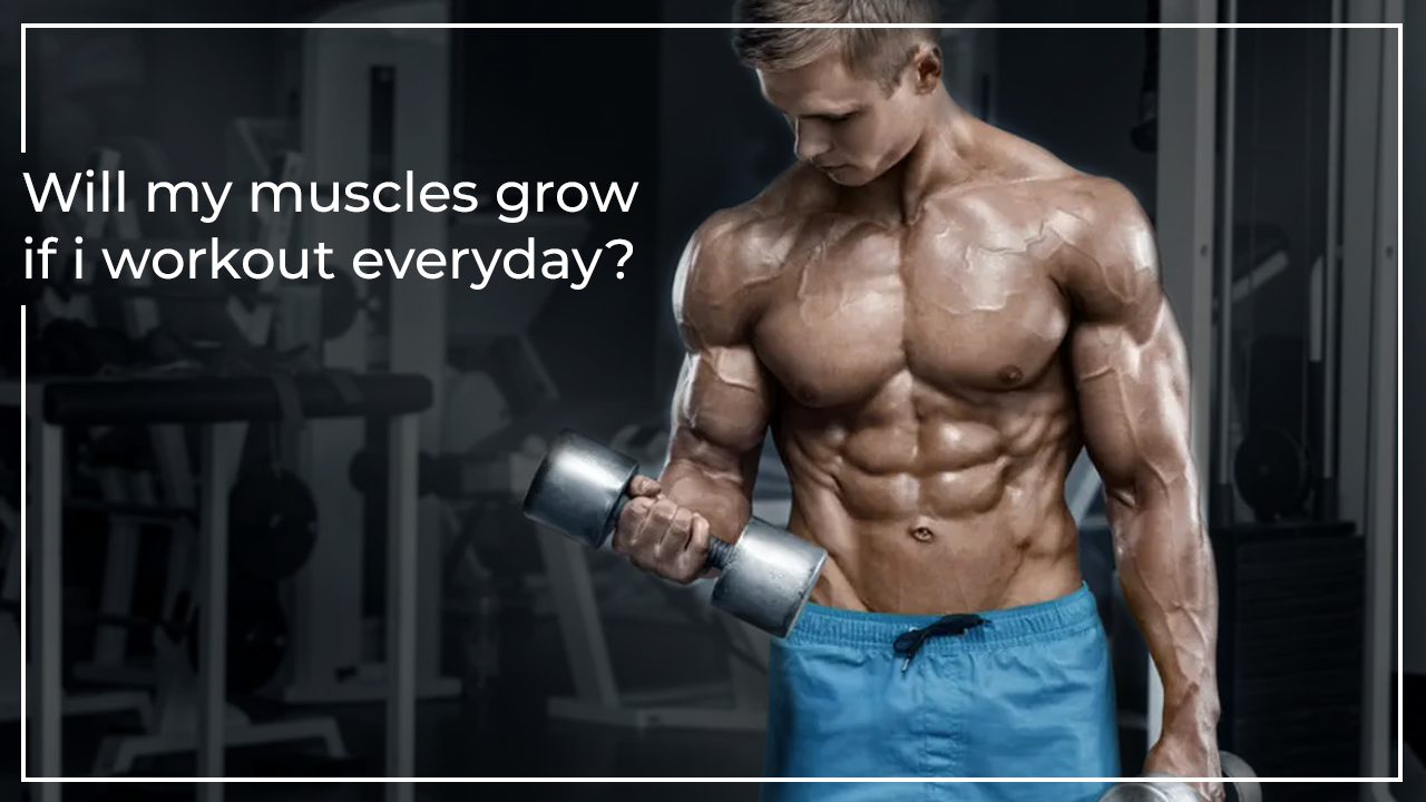 Will-my-muscles-grow-if-i-workout-everyday