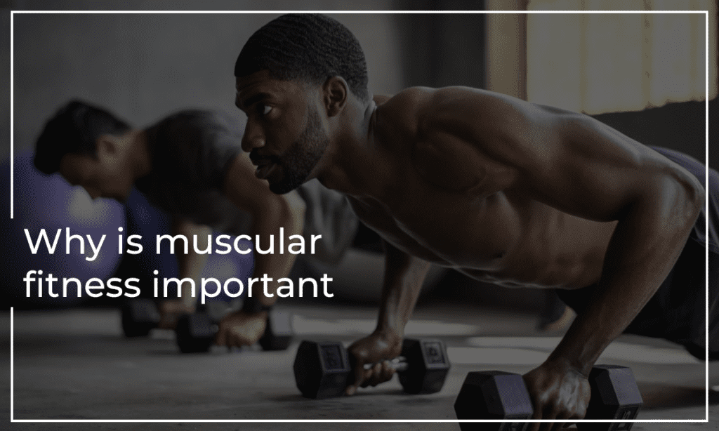 Why is muscular fitness important