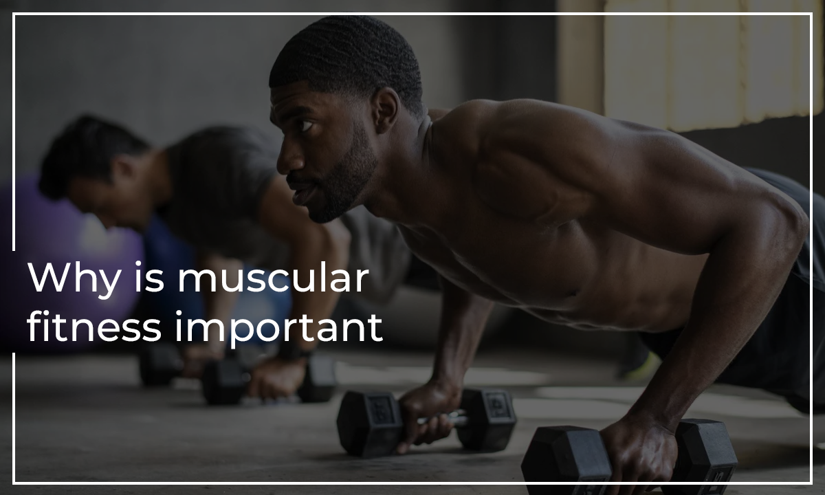 Why is muscle fitness important?
