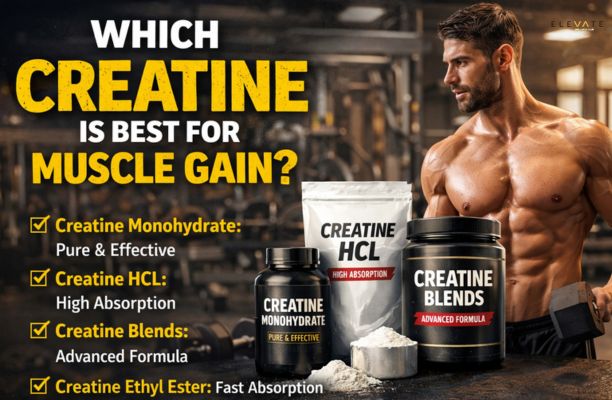 Best Gym in Ludhiana,best creatine in india,creatine powder benefits,best creatine for men,best way to take creatine​