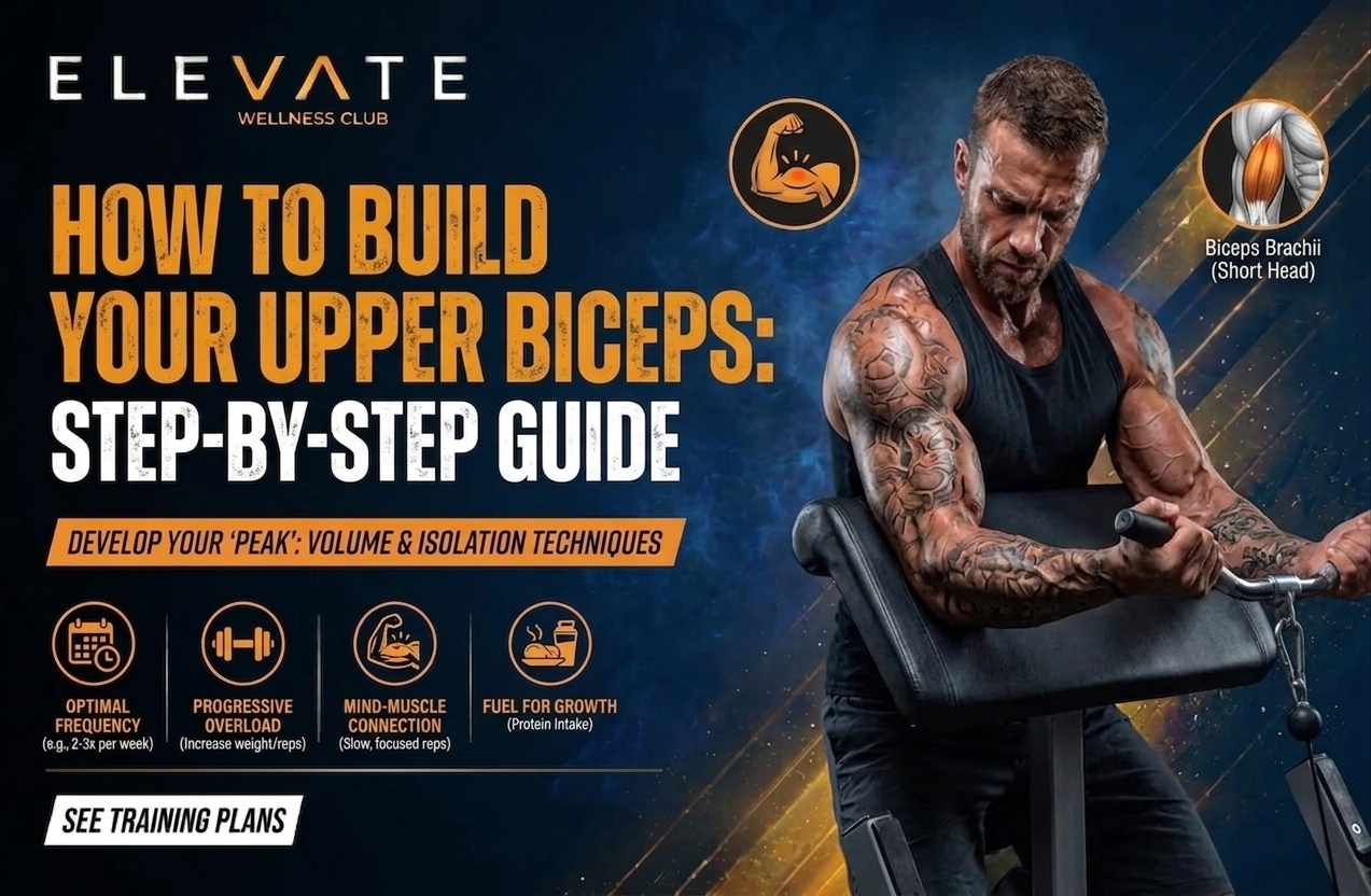 How to build upper biceps with effective gym exercises